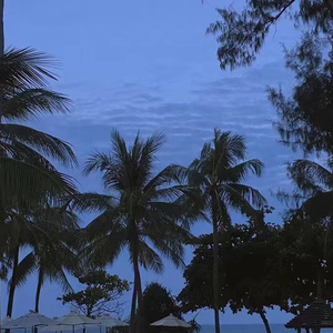 男生扣女生的臭逼
